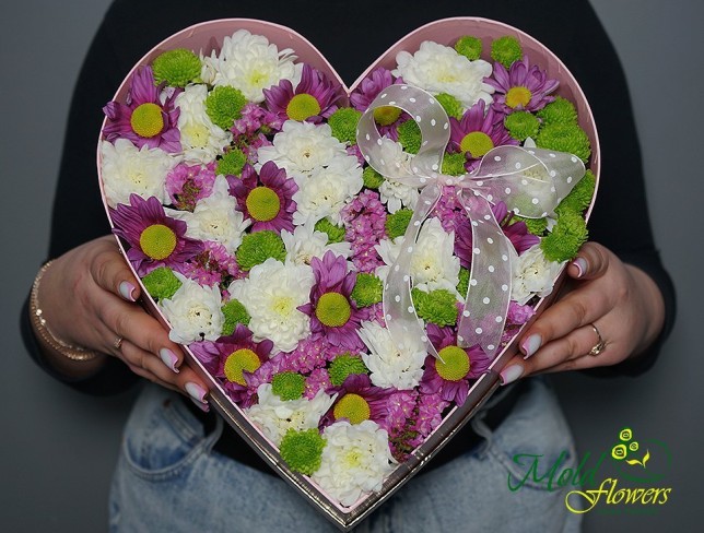 Коробка с разноцветными хризантемами Фото